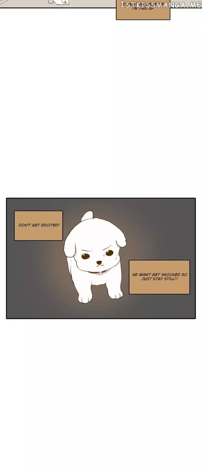 Read A Good Day to Be a Dog ENGLISH Manga Online