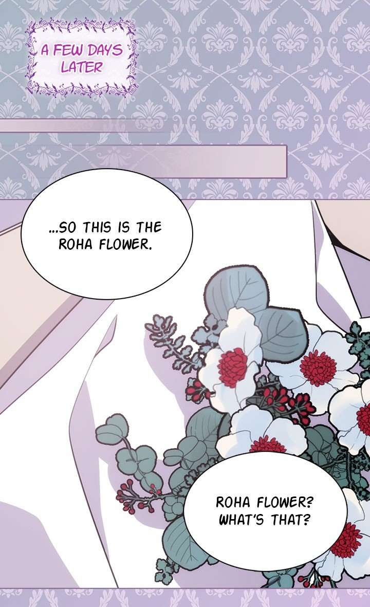 Read Adelaide ENGLISH Manga Online