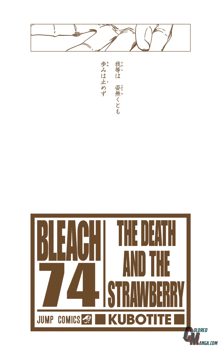 Read Bleach (Colored) ENGLISH Manga Online