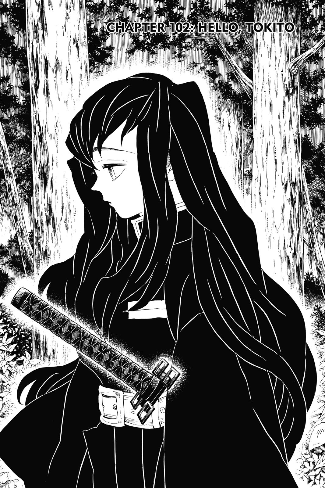 Read Demon Slayer Kimetsu no Yaiba ENGLISH Manga Online