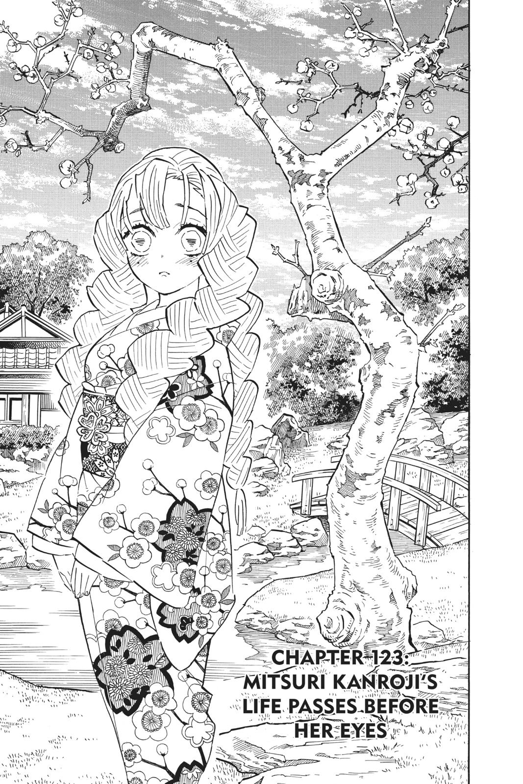 Read Demon Slayer Kimetsu no Yaiba ENGLISH Manga Online