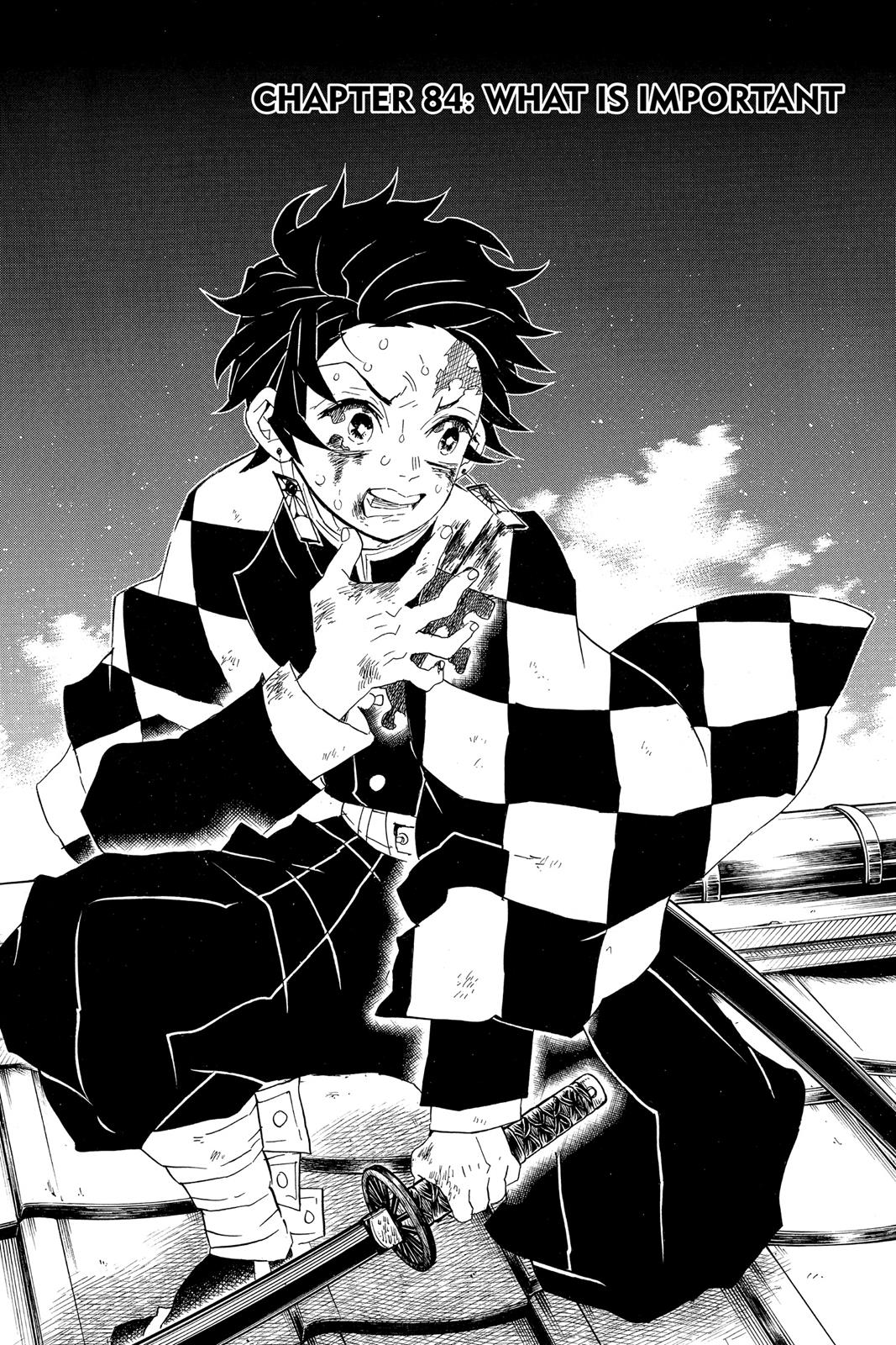 Read Demon Slayer Kimetsu no Yaiba ENGLISH Manga Online