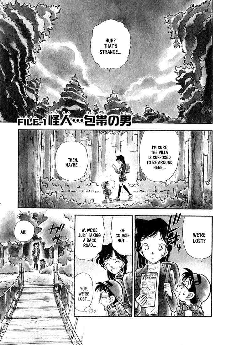 Read Detective Conan ENGLISH Manga Online