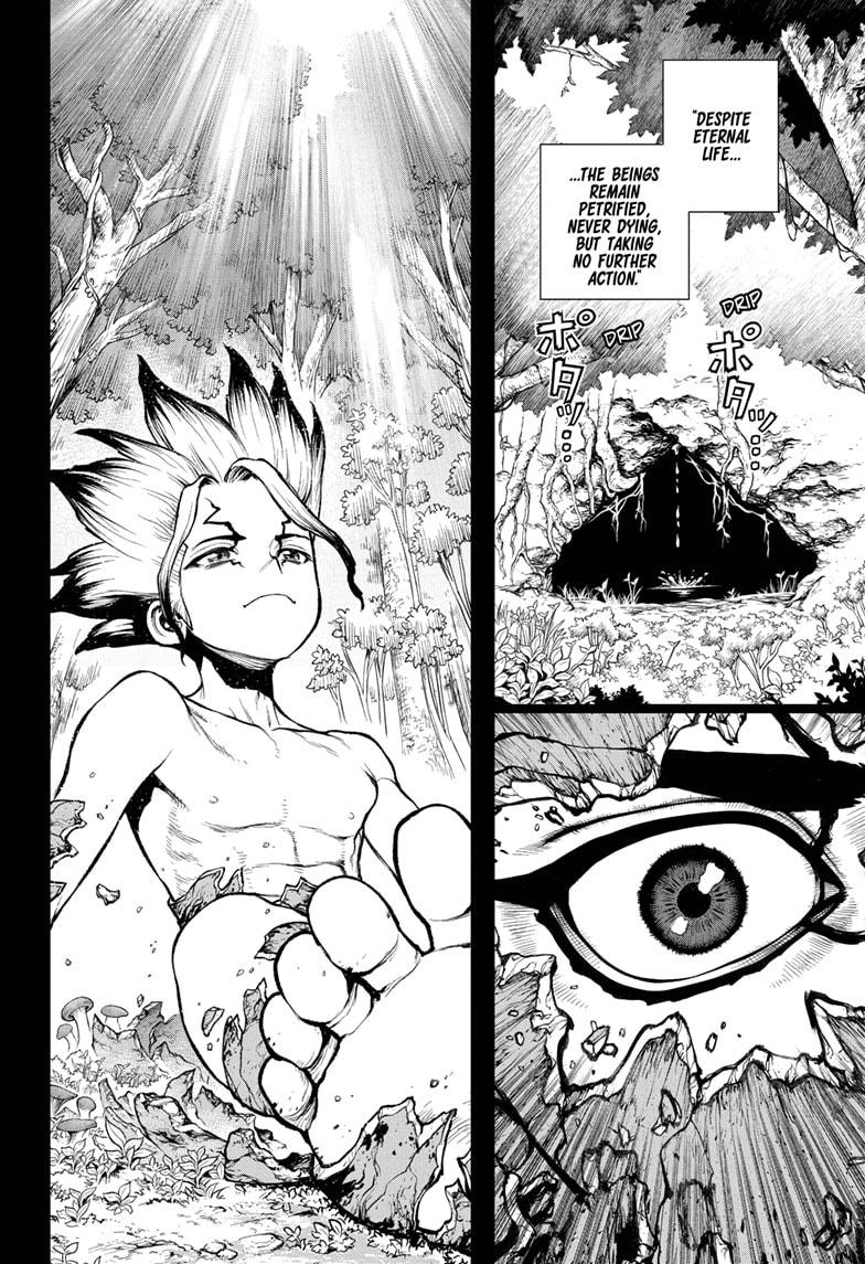 Read Dr. STONE ENGLISH Manga Online