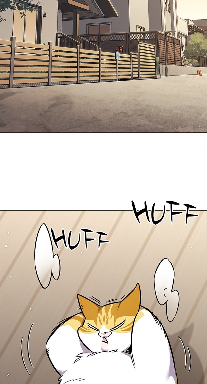 Read Eleceed ENGLISH Manga Online