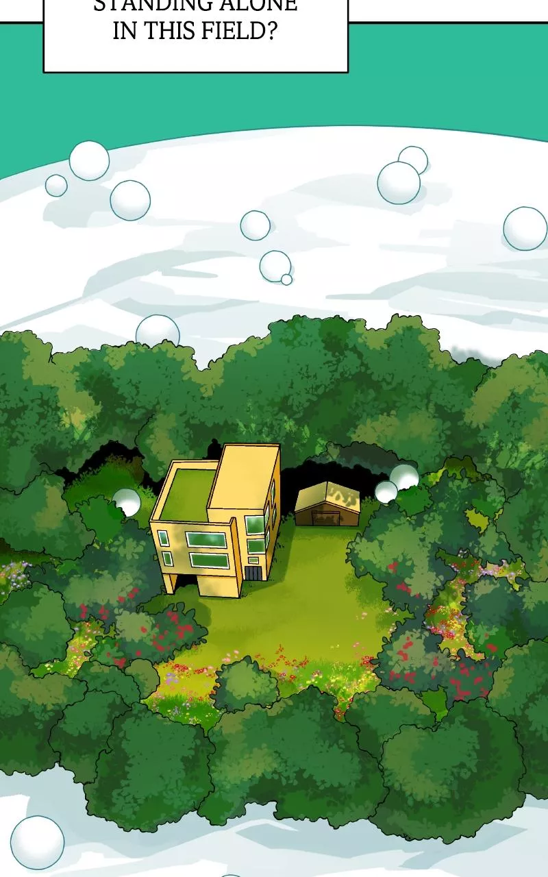 Read False Paradise ENGLISH Manga Online