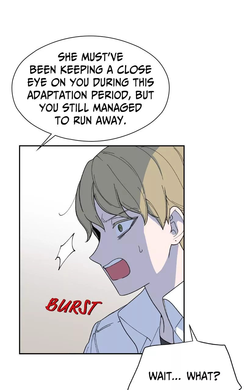 Read False Paradise ENGLISH Manga Online