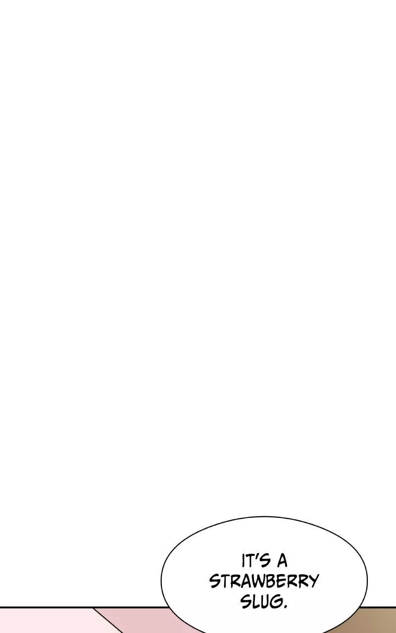 Read False Paradise ENGLISH Manga Online