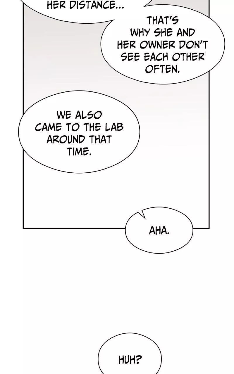 Read False Paradise ENGLISH Manga Online