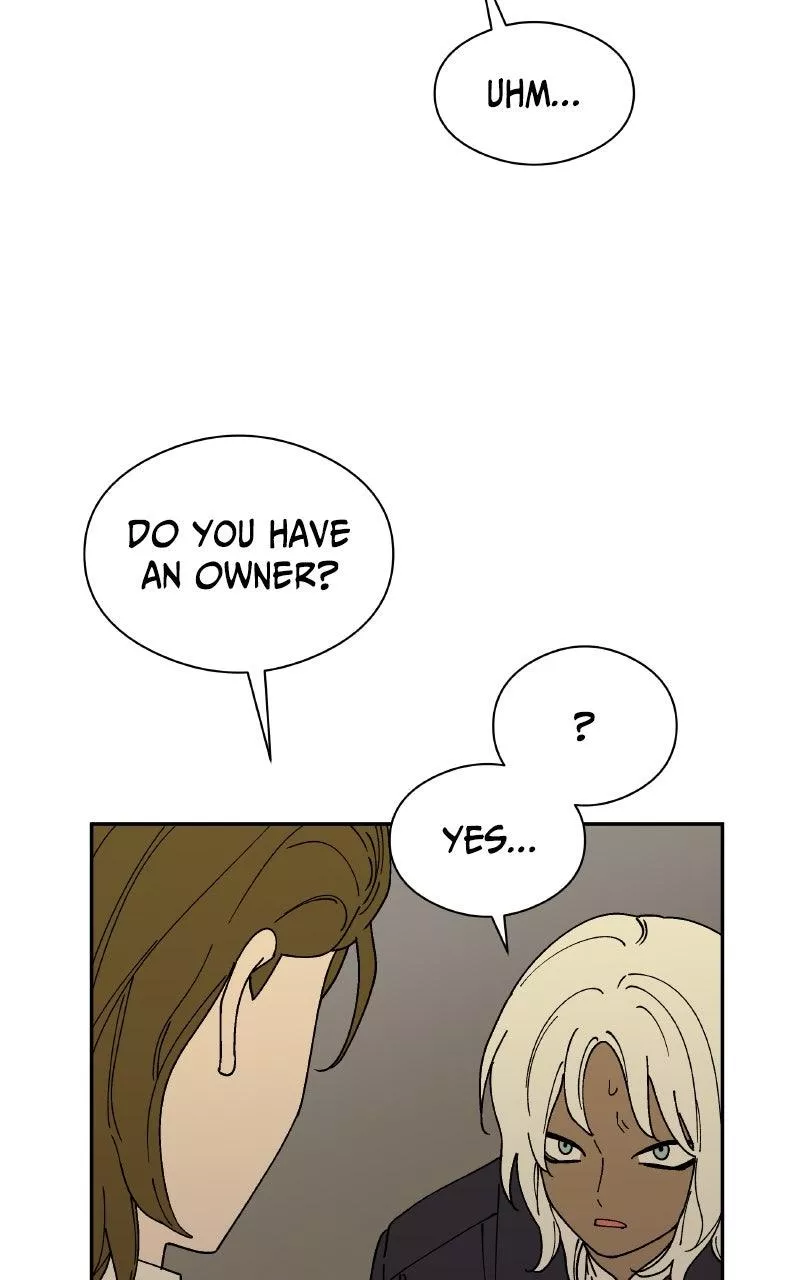 Read False Paradise ENGLISH Manga Online