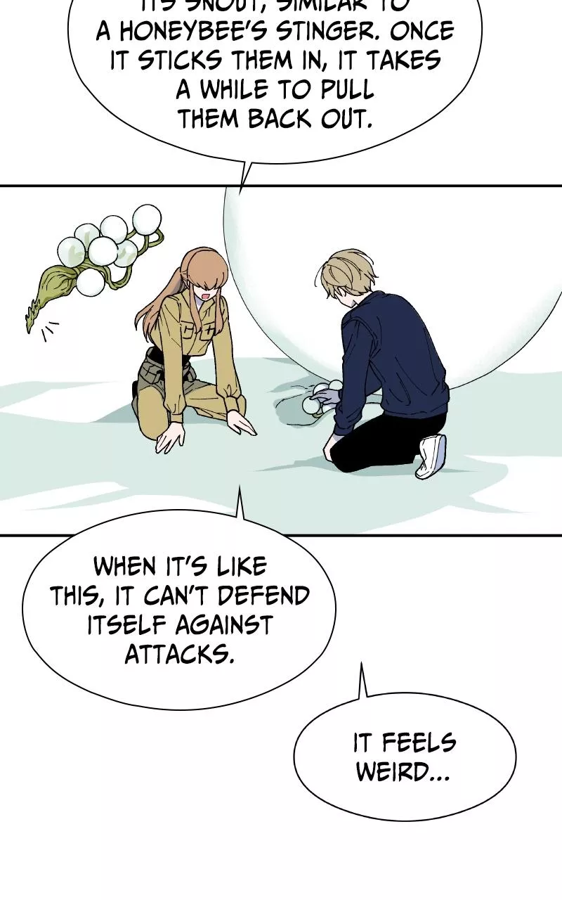 Read False Paradise ENGLISH Manga Online