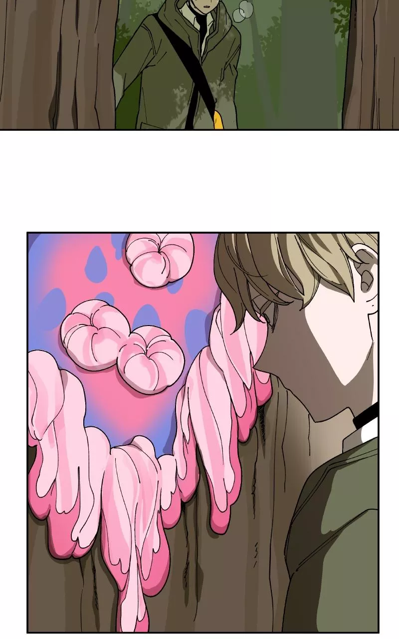 Read False Paradise ENGLISH Manga Online