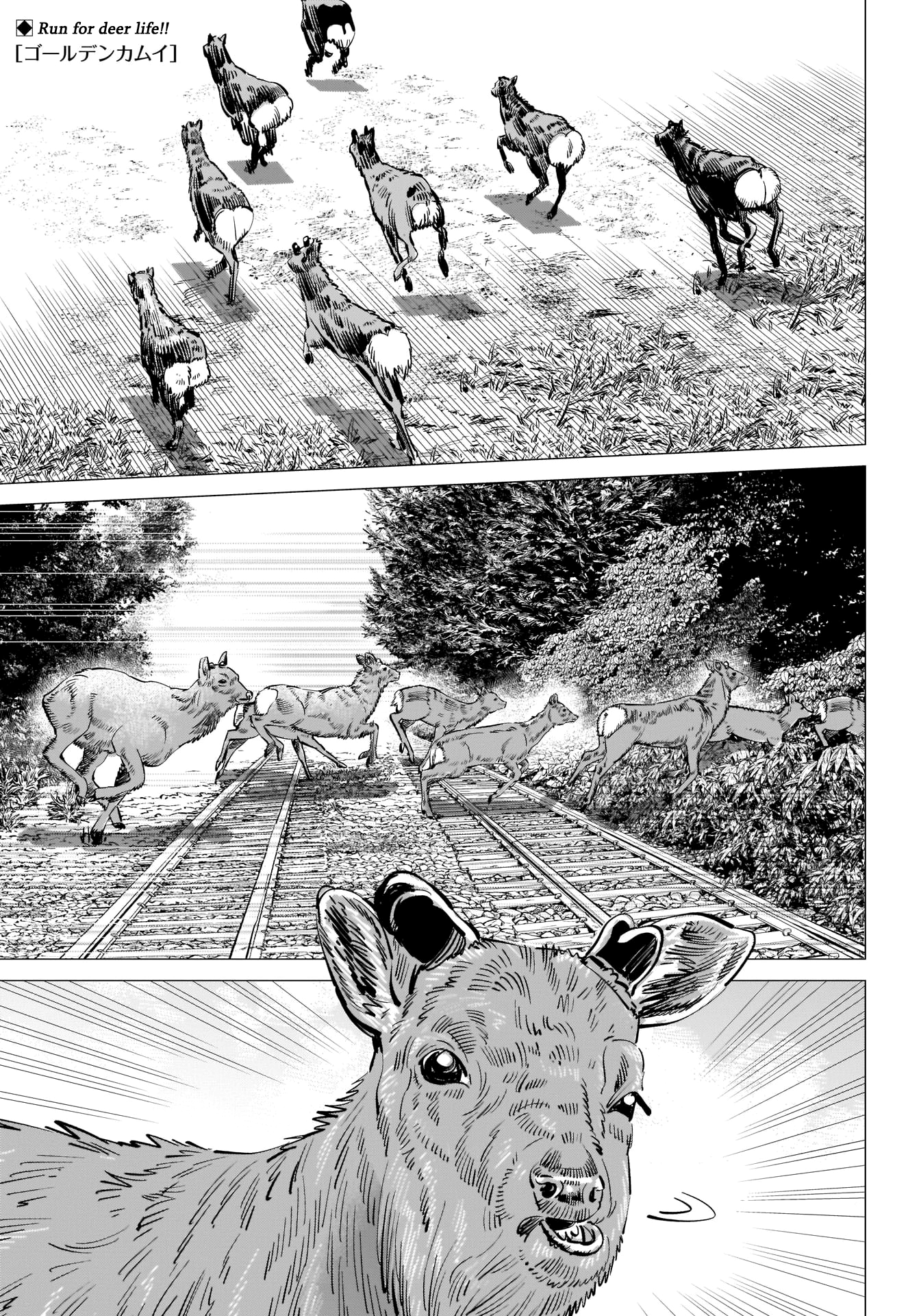 Read Golden Kamuy ENGLISH Manga Online
