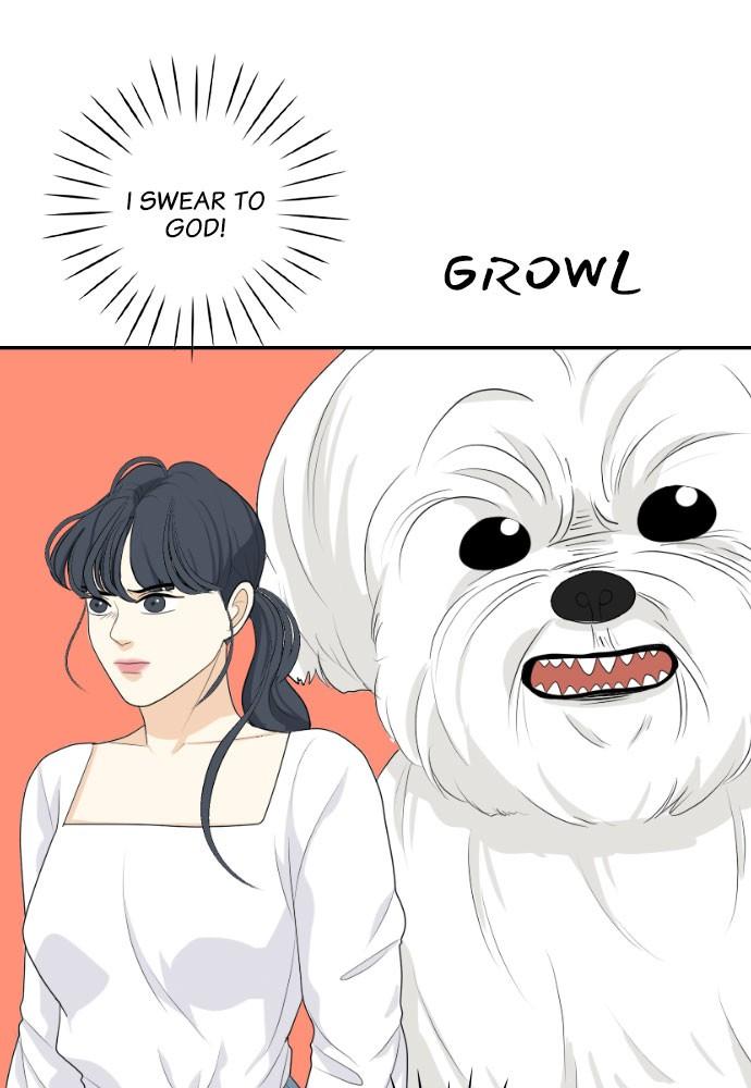 Read My Roommate Is A Gumiho ENGLISH Manga Online