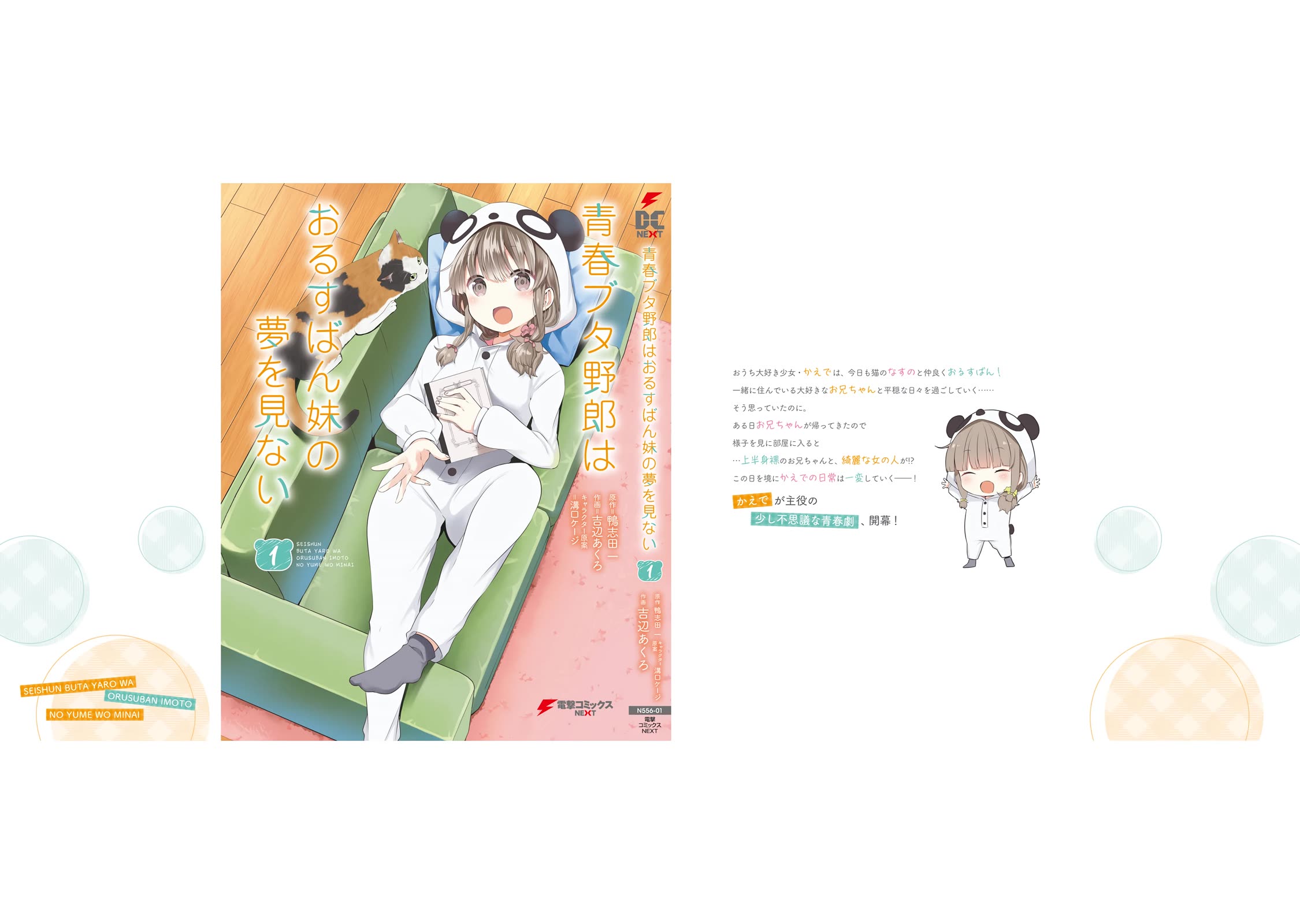 Read Rascal Does Not Dream of a Sister Home Alone ENGLISH Manga Online