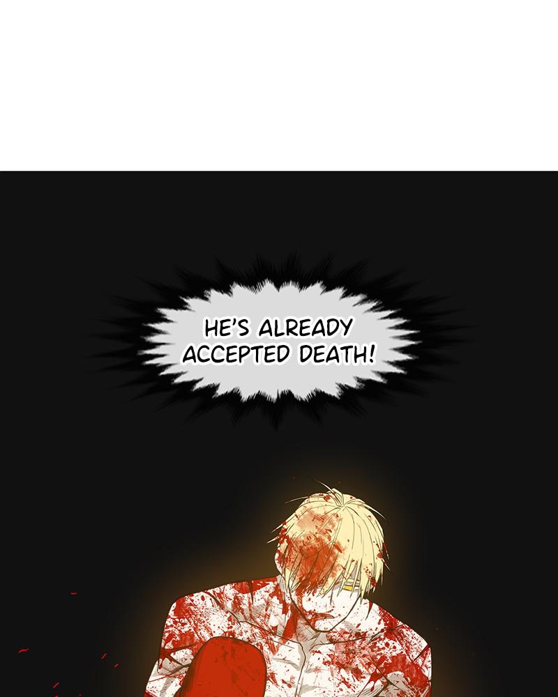 Read The Boxer ENGLISH Manga Online