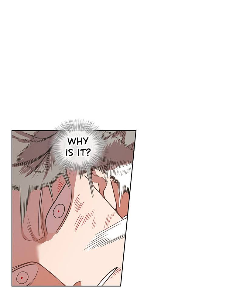 Read The Boxer ENGLISH Manga Online