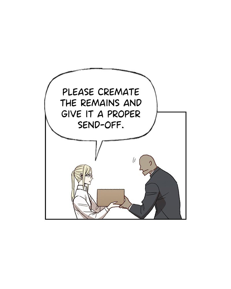 Read The Boxer ENGLISH Manga Online
