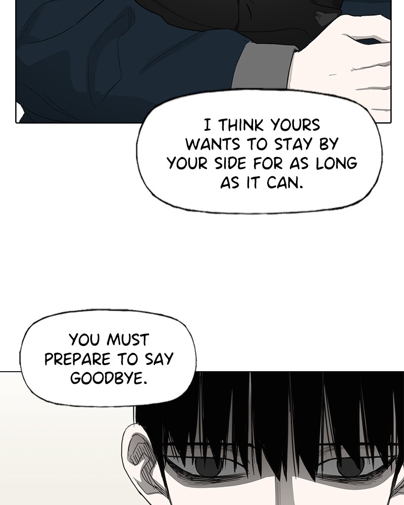 Read The Boxer ENGLISH Manga Online