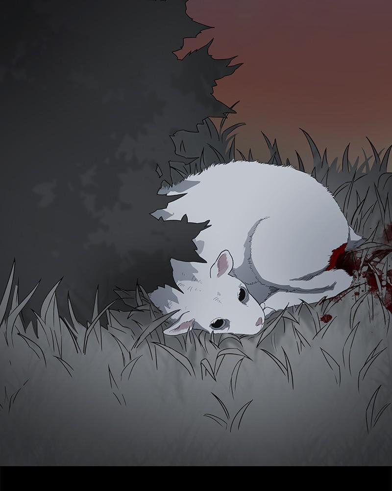 Read The Boxer ENGLISH Manga Online