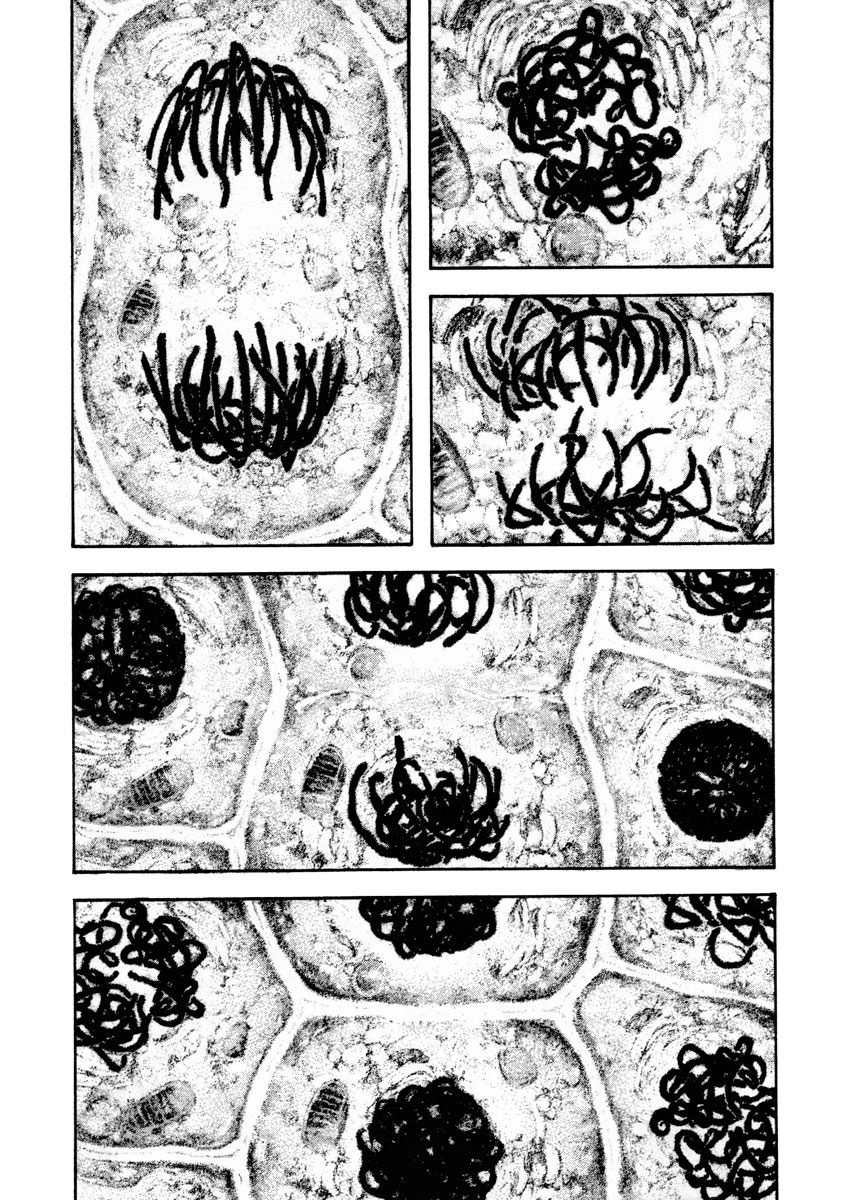 Read The Climber ENGLISH Manga Online