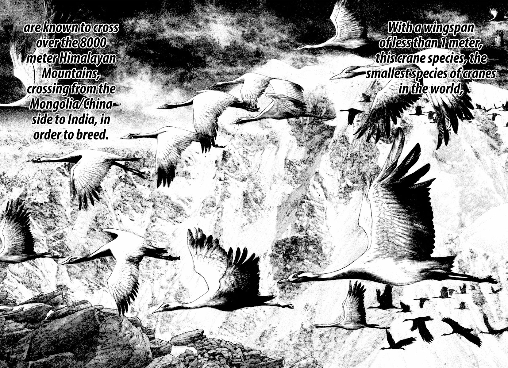 Read The Climber ENGLISH Manga Online