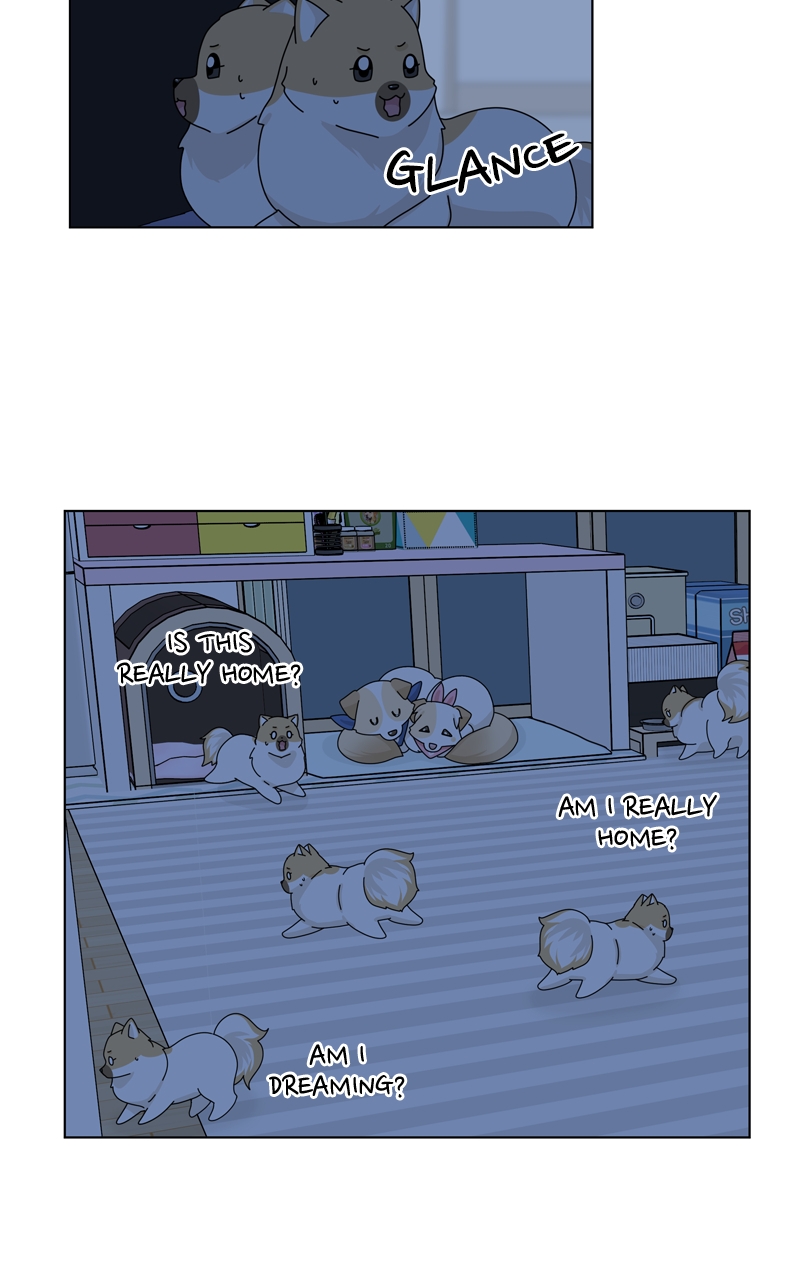Read The Dog Diaries ENGLISH Manga Online