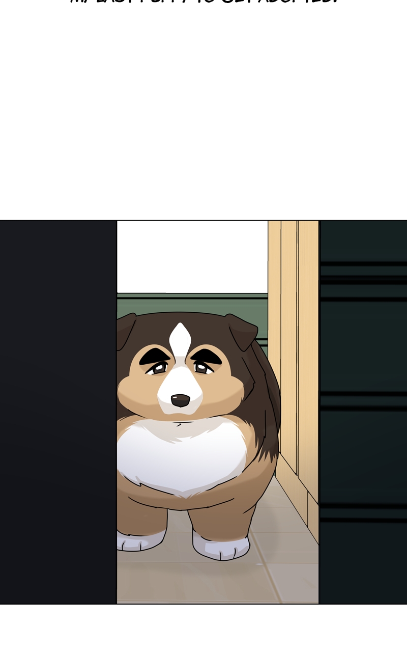Read The Dog Diaries ENGLISH Manga Online