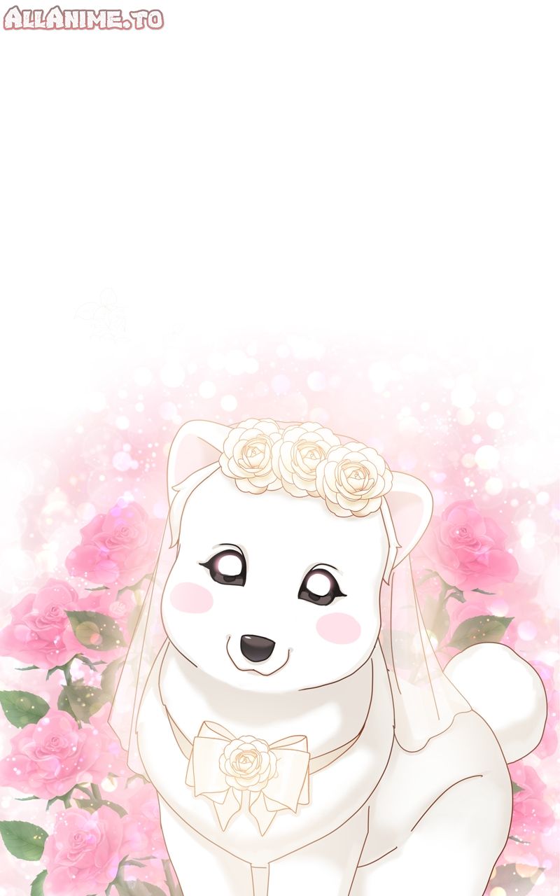 Read The Dog Diaries ENGLISH Manga Online