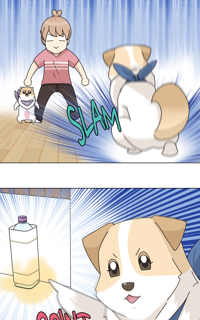 Read The Dog Diaries ENGLISH Manga Online