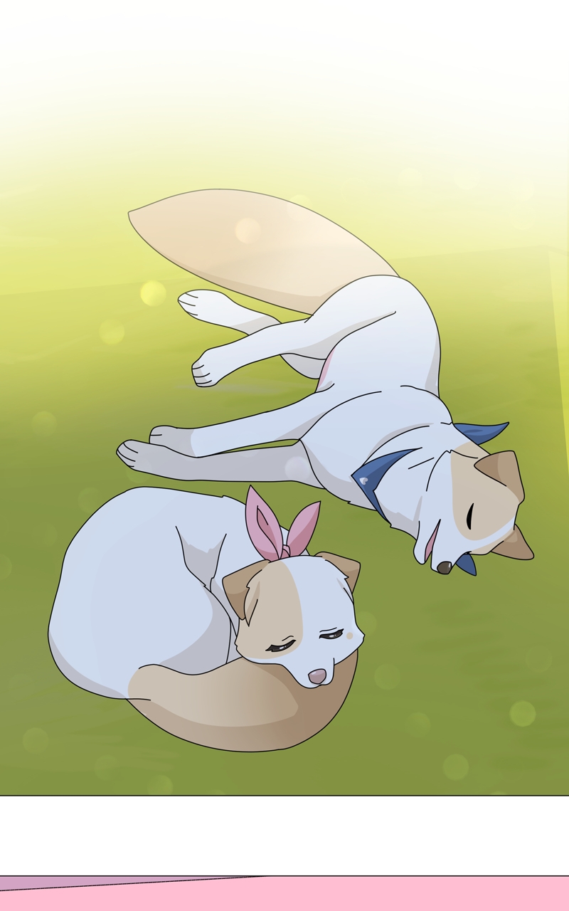 Read The Dog Diaries ENGLISH Manga Online