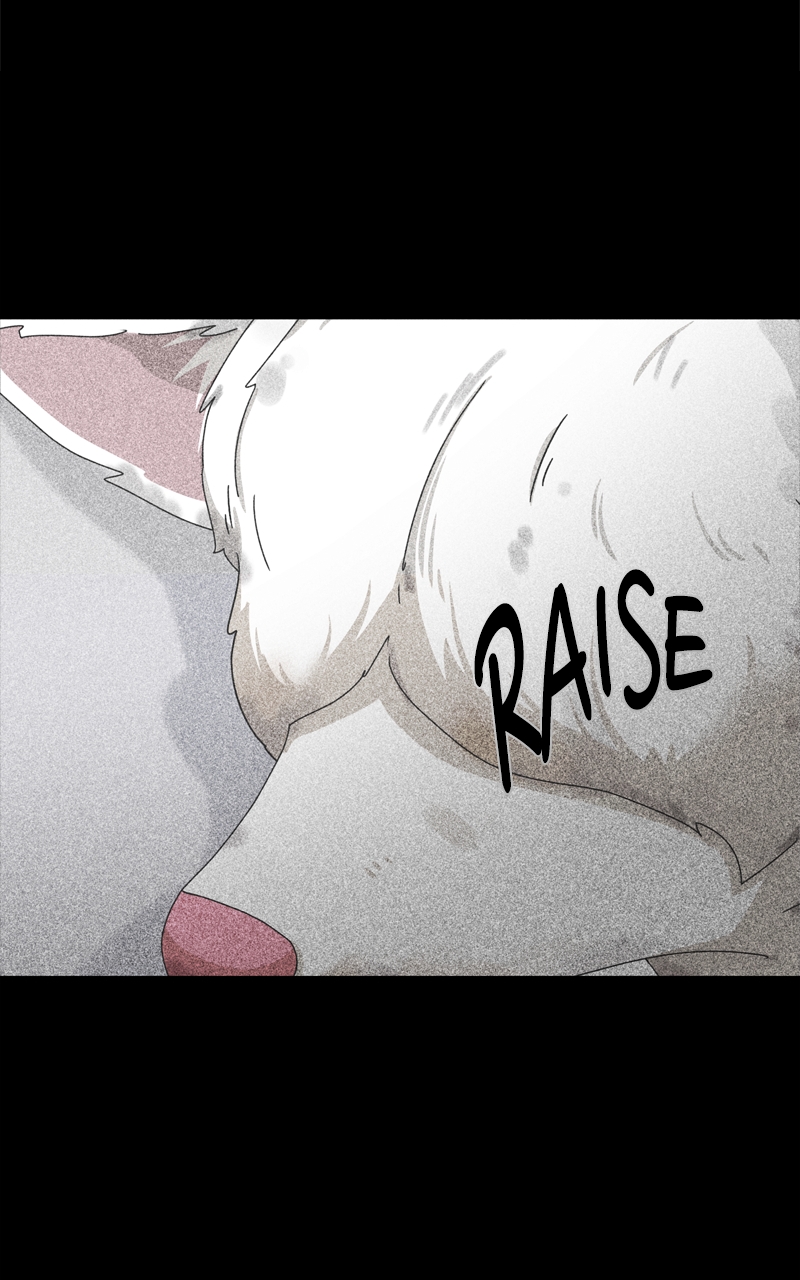 Read The Dog Diaries ENGLISH Manga Online