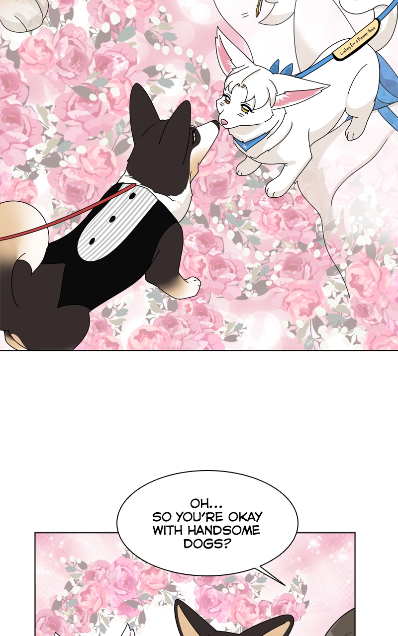 Read The Dog Diaries ENGLISH Manga Online