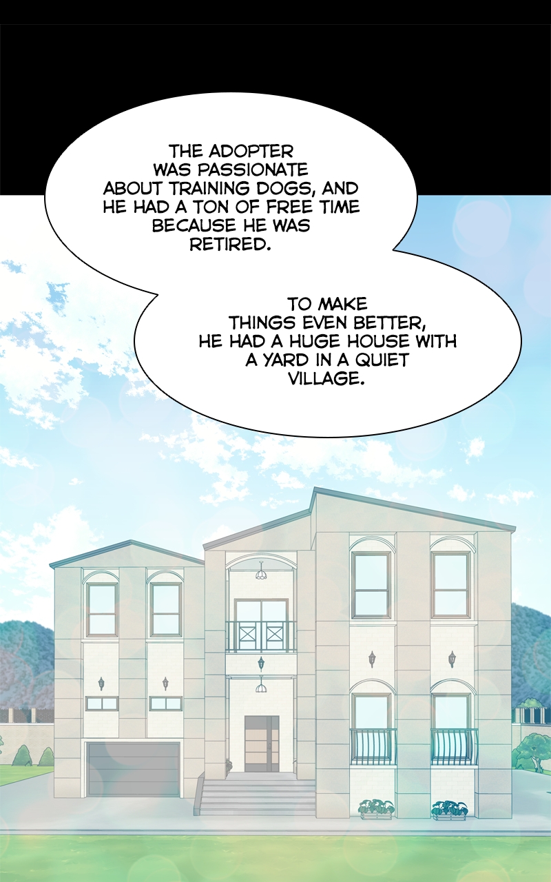 Read The Dog Diaries ENGLISH Manga Online