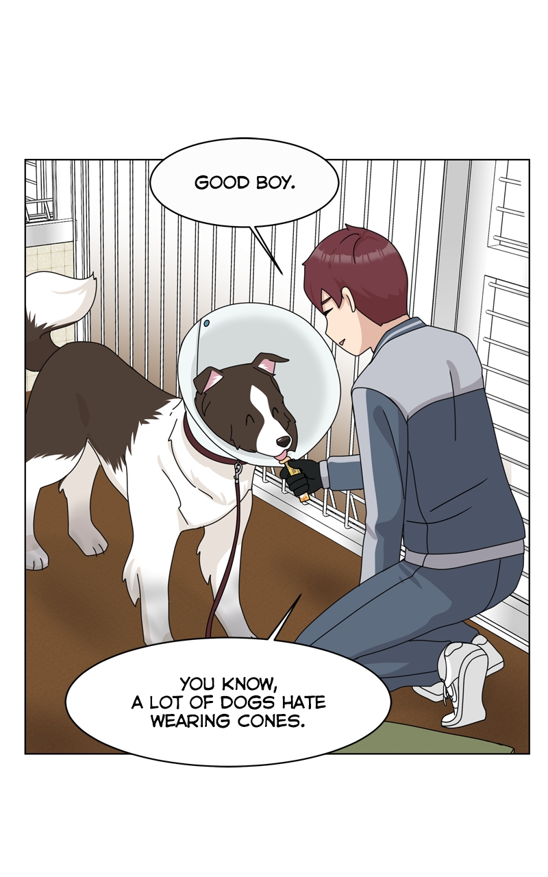 Read The Dog Diaries ENGLISH Manga Online