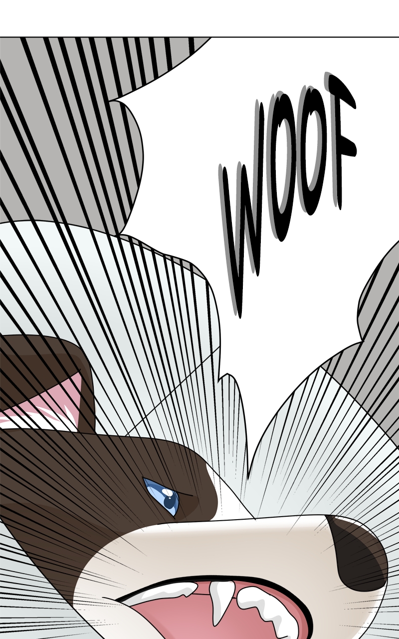 Read The Dog Diaries ENGLISH Manga Online