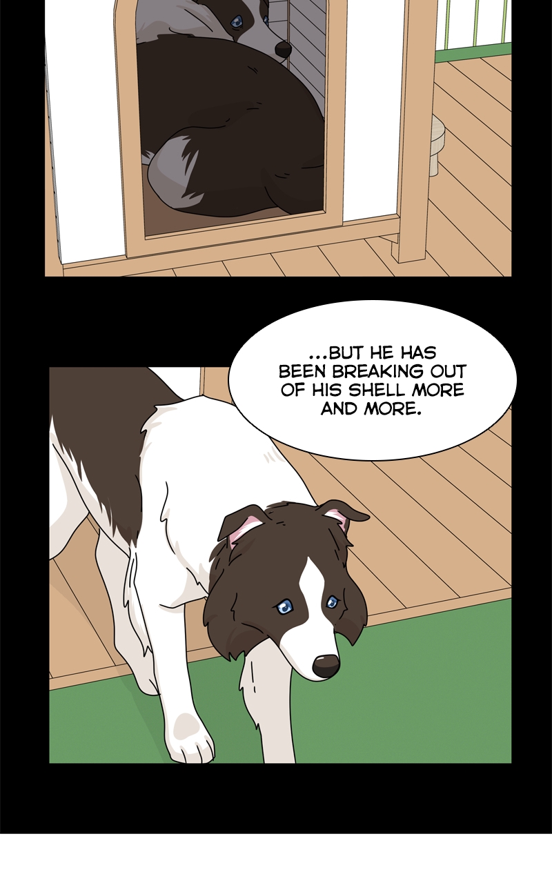 Read The Dog Diaries ENGLISH Manga Online