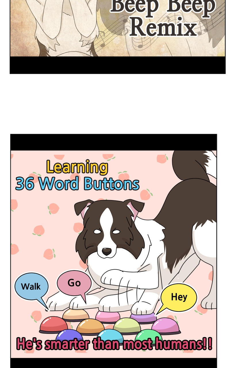 Read The Dog Diaries ENGLISH Manga Online