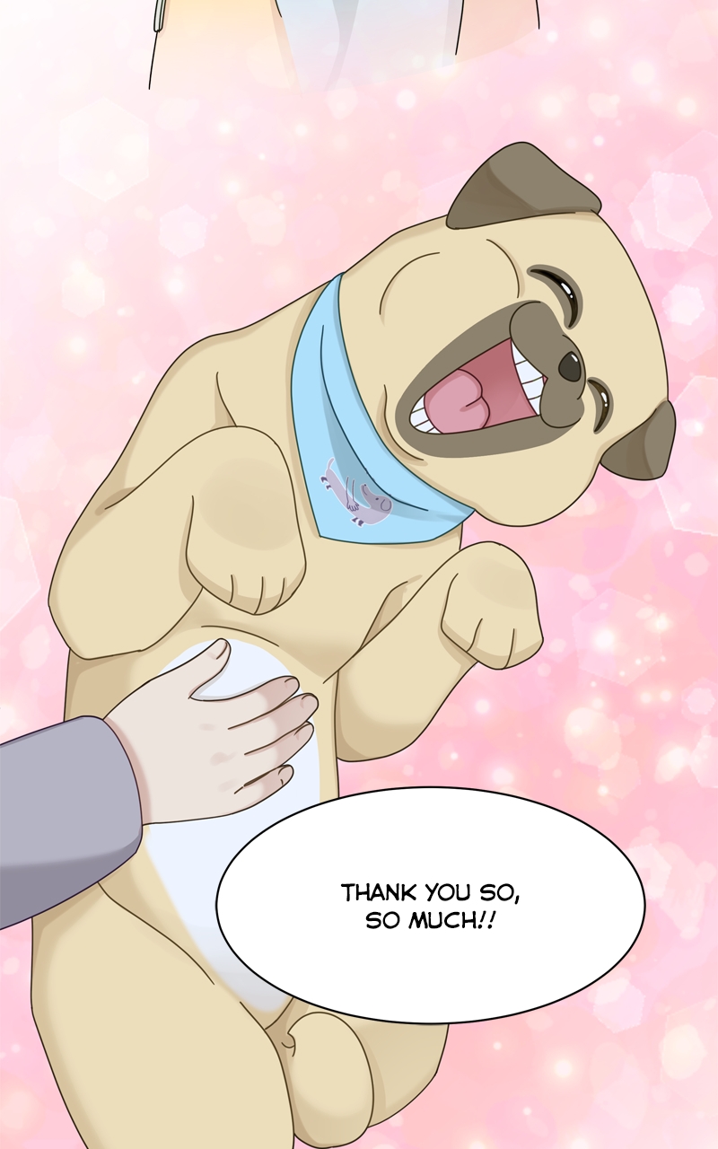Read The Dog Diaries ENGLISH Manga Online