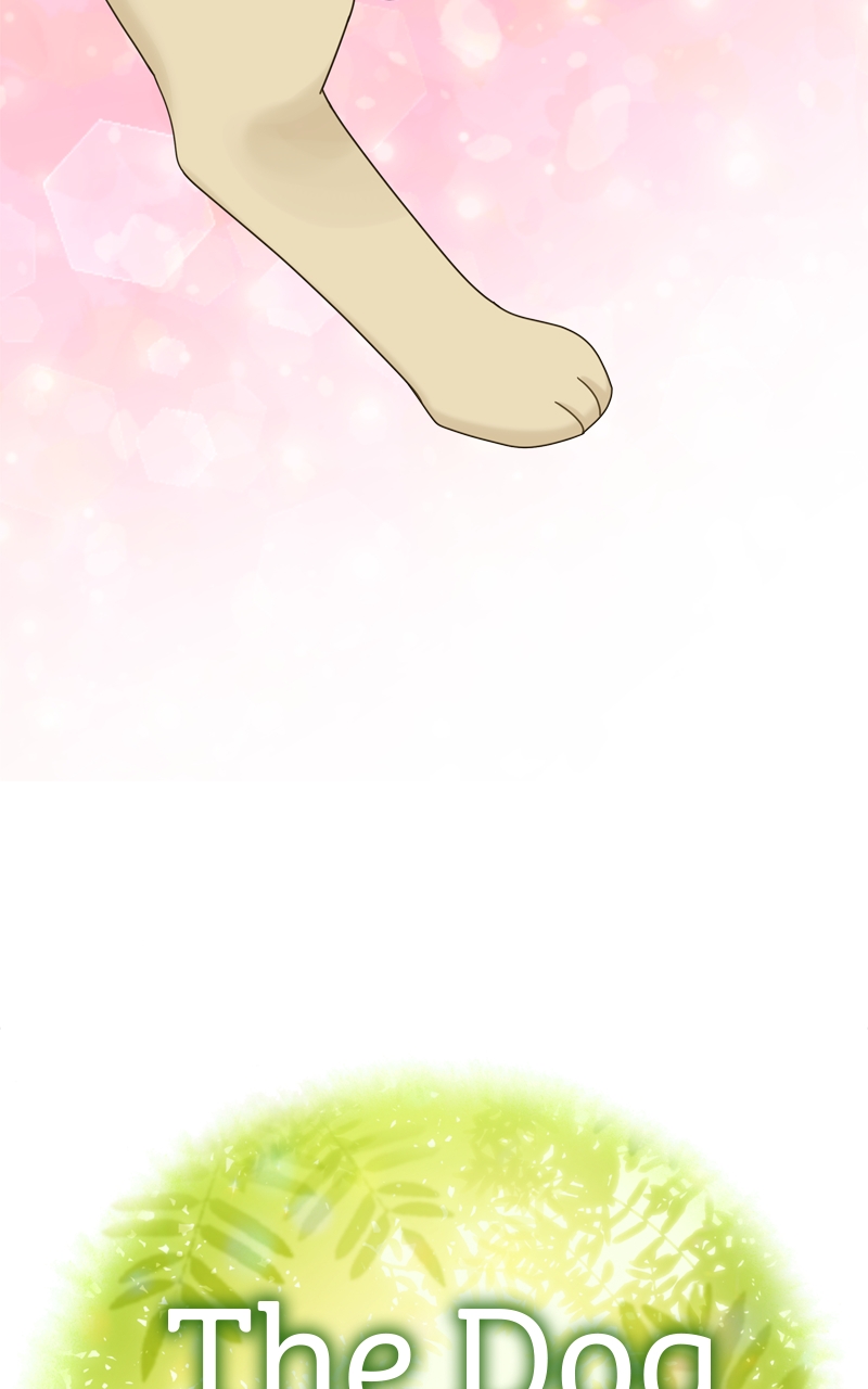 Read The Dog Diaries ENGLISH Manga Online