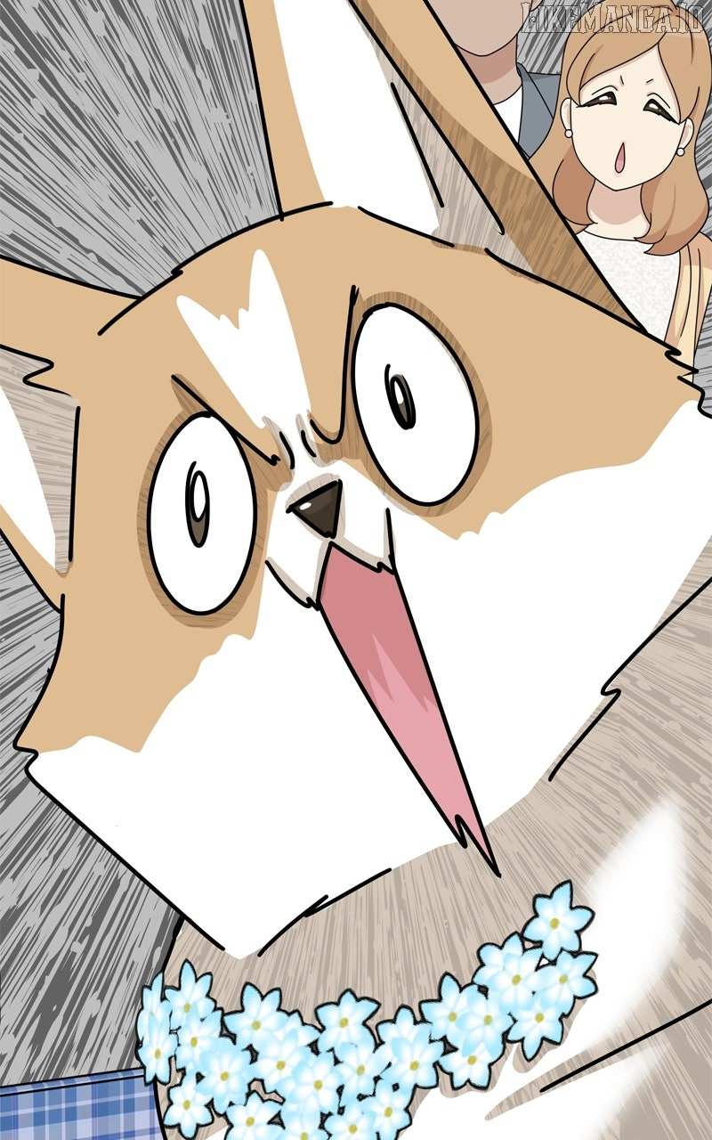 Read The Dog Diaries ENGLISH Manga Online