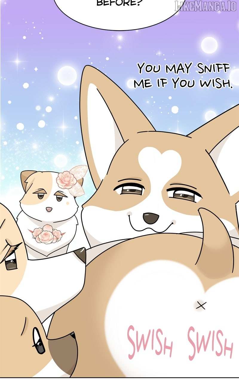 Read The Dog Diaries ENGLISH Manga Online