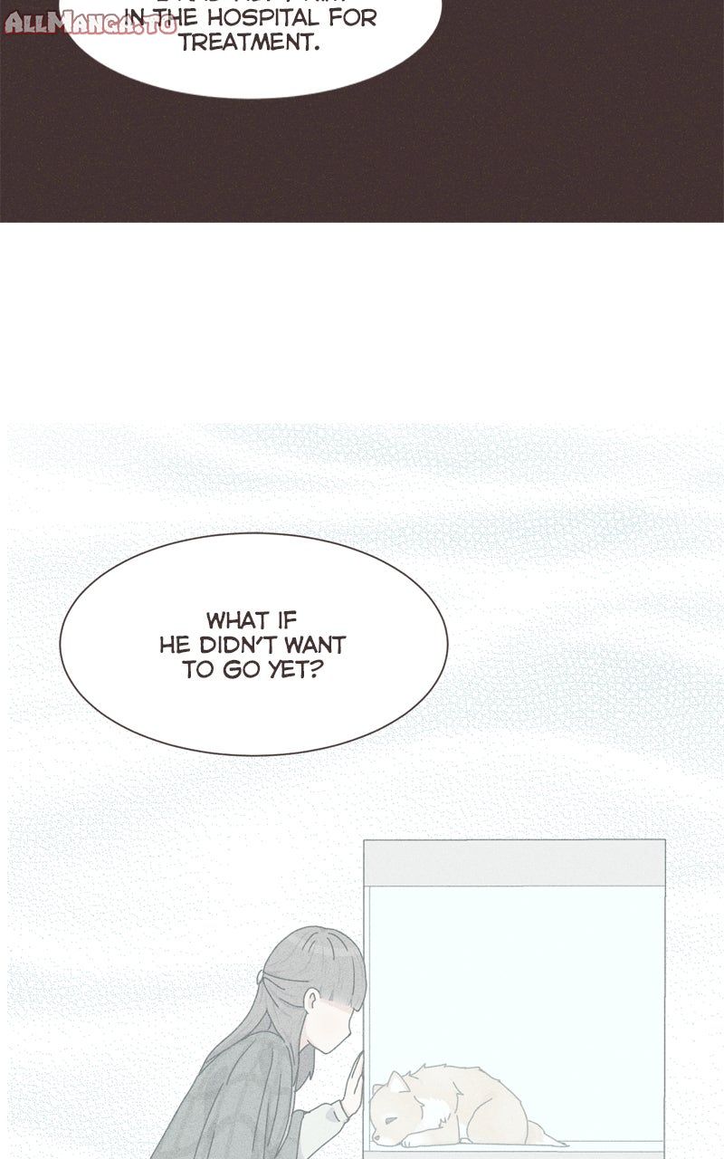 Read The Dog Diaries ENGLISH Manga Online