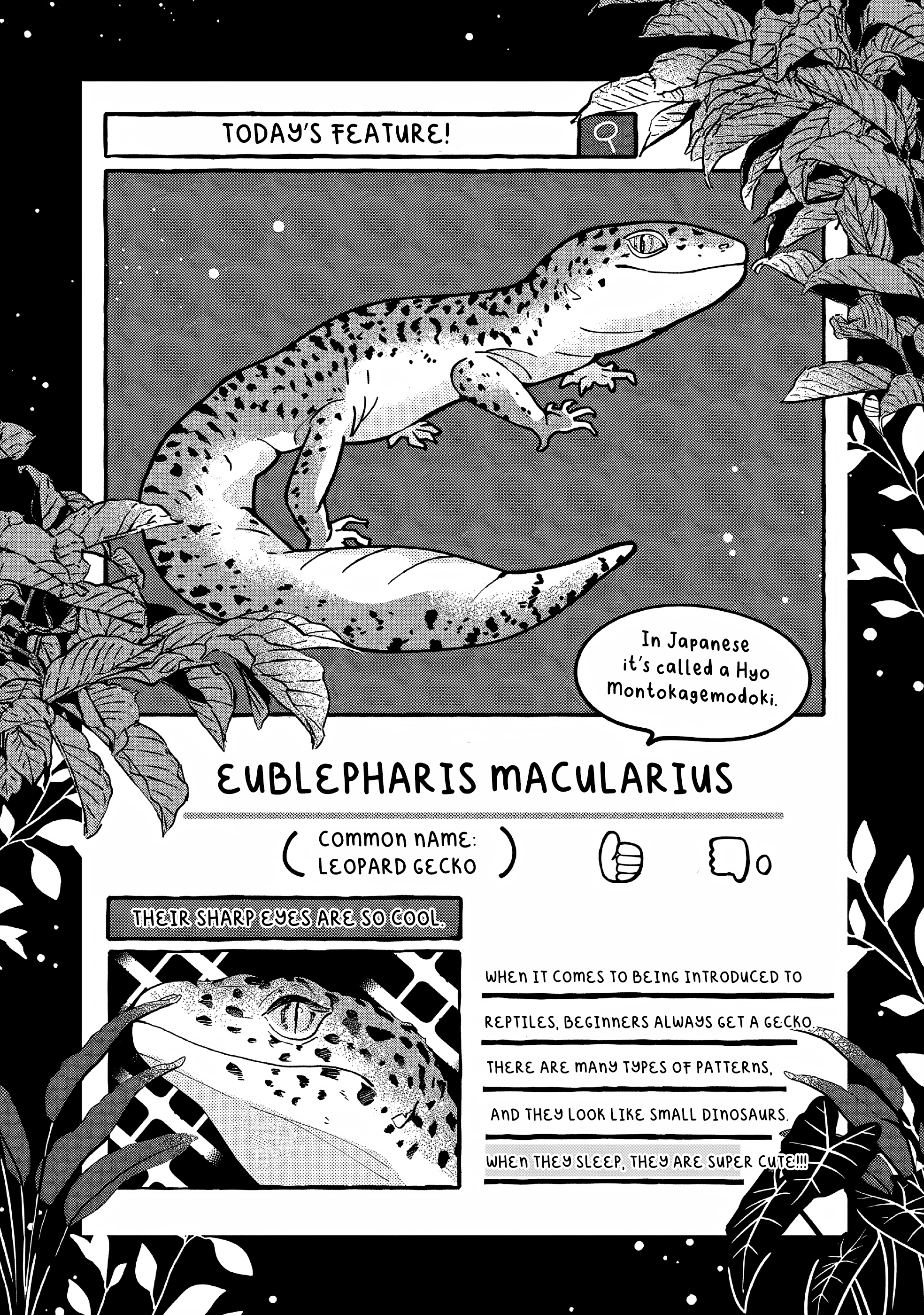 Read Tonari no Hachuurui-kun ENGLISH Manga Online