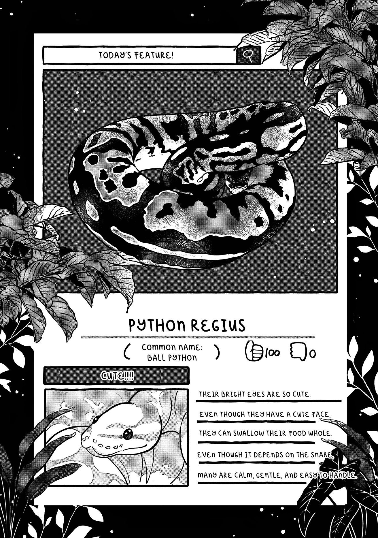 Read Tonari no Hachuurui-kun ENGLISH Manga Online