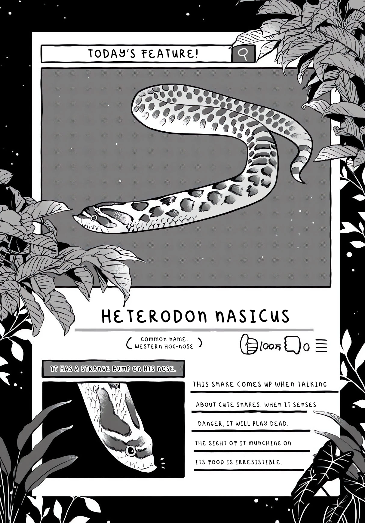 Read Tonari no Hachuurui-kun ENGLISH Manga Online