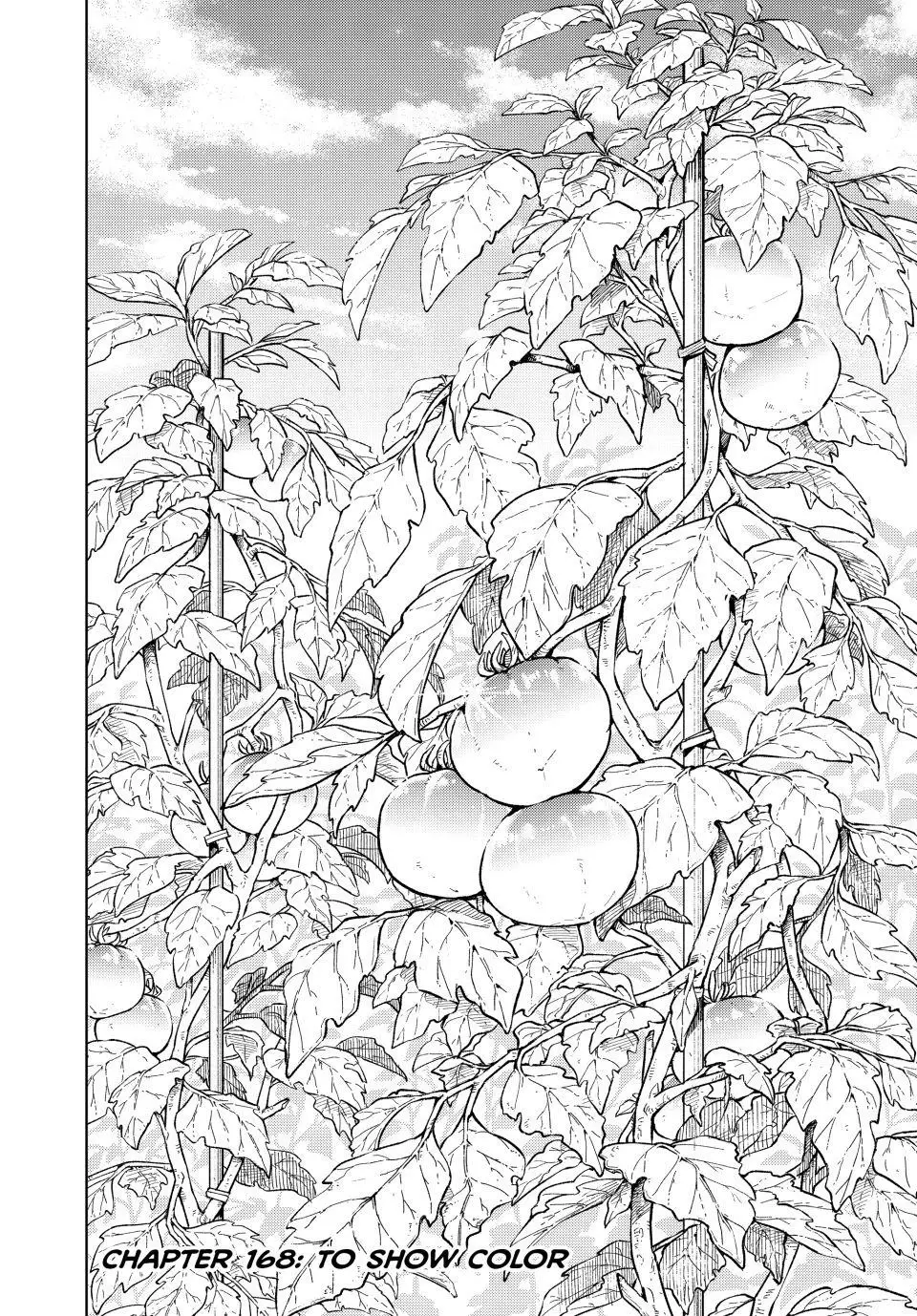 Read Wind Breaker Manga ENGLISH Manga Online