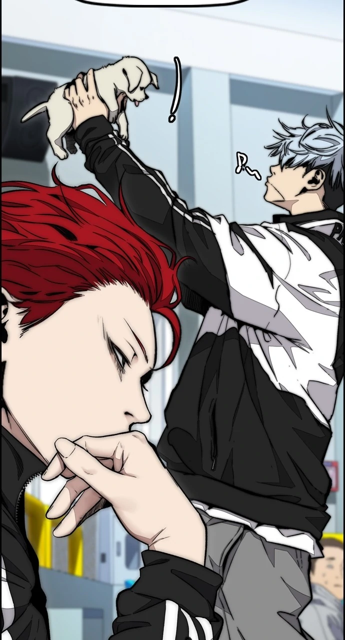 Read Wind Breaker Manhwa ENGLISH Manga Online