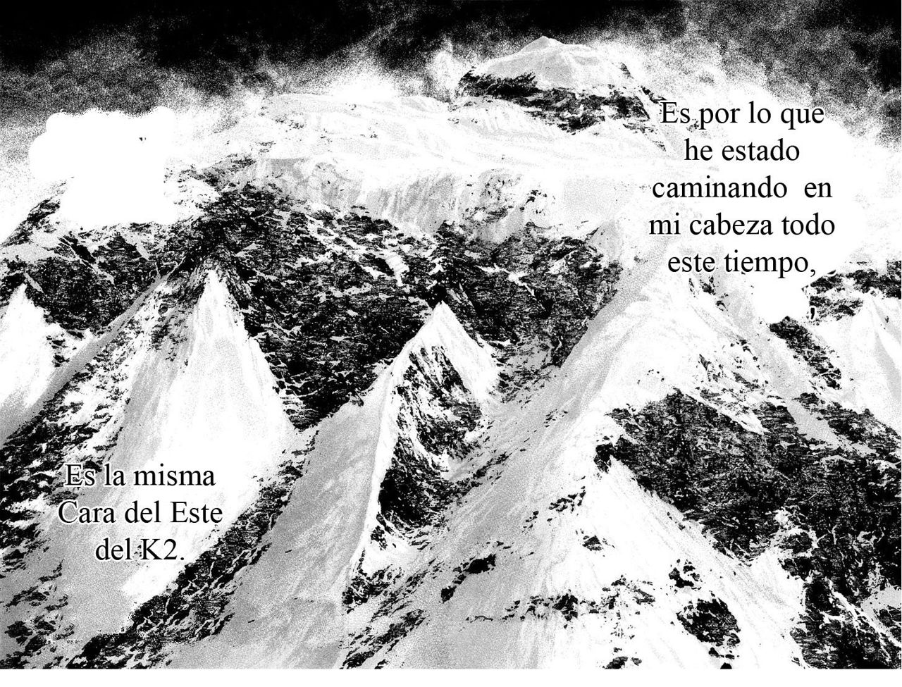 Read Ascension The Climber Español Manga Online