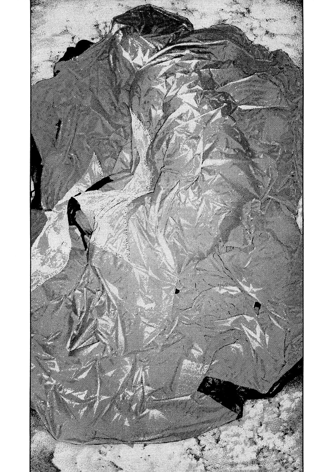 Read Ascension The Climber Español Manga Online